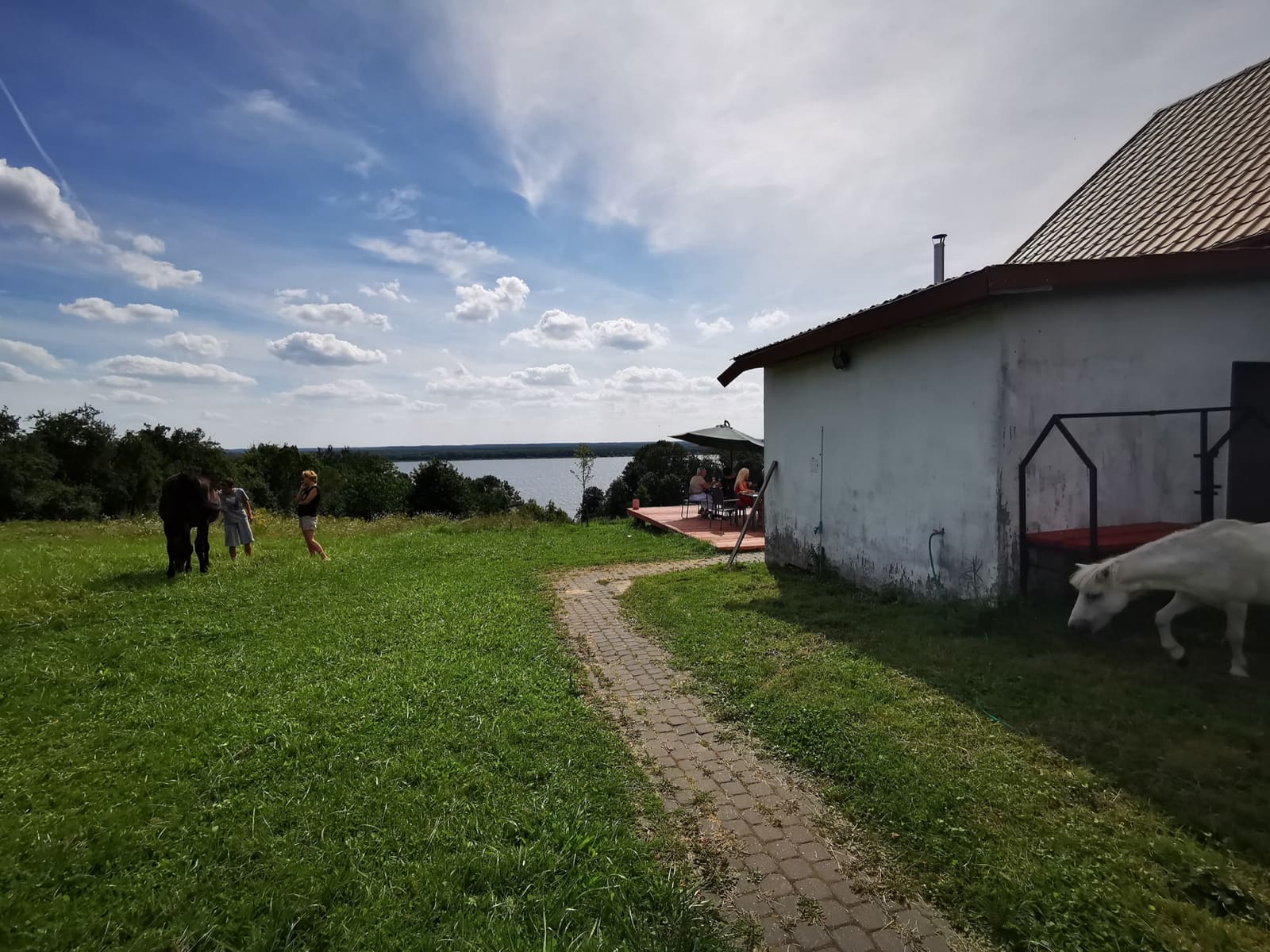 Konie na łące nad Zalewem Włocławskim, taras z widokiem na wodę